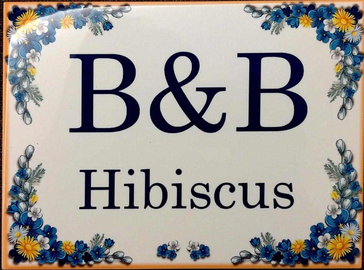 B&B Hibiscus Porto SantʼElpidio Extérieur photo